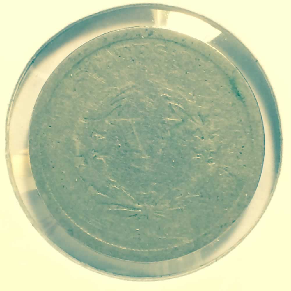 US 1904  Liberty Head 'V' Nickel ( 5C ) - Reverse